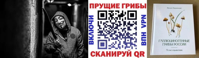 сайты даркнета наркотические препараты  купить закладку  Кисловодск  Псилоцибиновые грибы Cubensis 