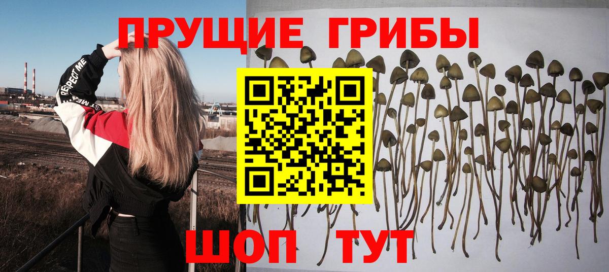 Галлюциногенные грибы MAGIC MUSHROOMS Кисловодск