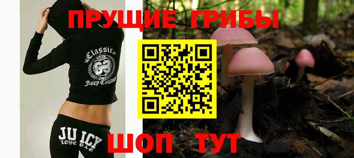 Канабис  Molly  Вход с VPN  Хэш  COCAIN  МДМА  Мефедрон  Кисловодск  МАРИХУАНА  Меф  Купить наркотики цена 